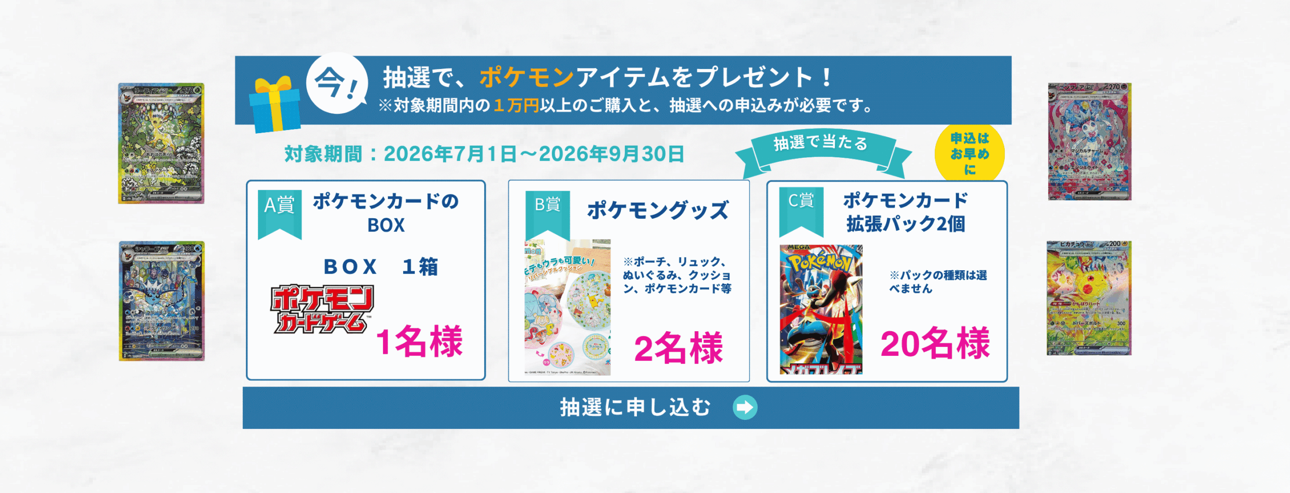 ポケモンアイテムの抽選ページ用の画像 (12)