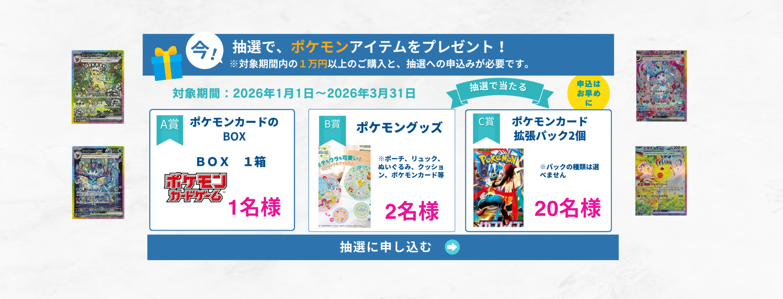 ポケモンアイテムの抽選ページ用の画像 (8)