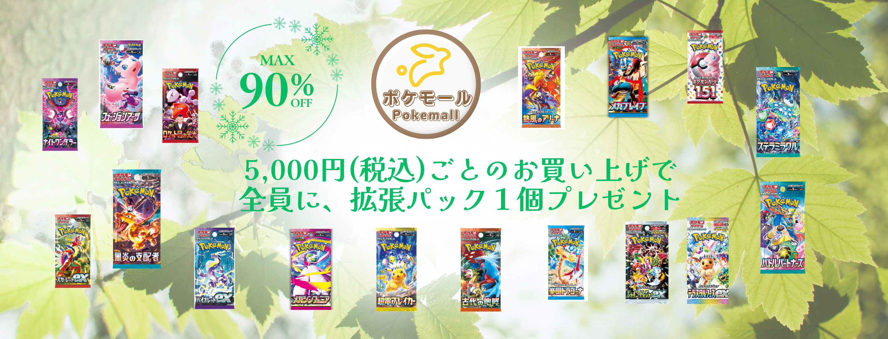 初夏キャンペーン４