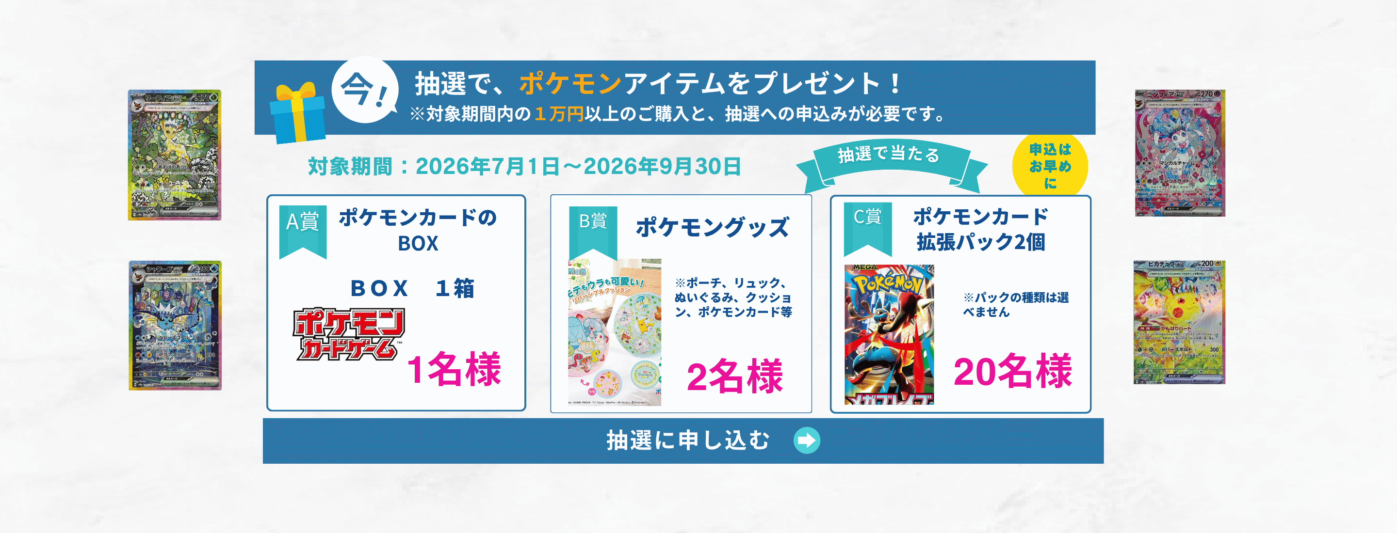 ポケモンアイテムの抽選ページ用の画像 (12)